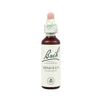 Bach 06 Cherry Plum 20ml
