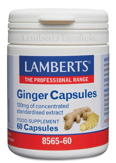 Lamberts Ginger Extracto Jengibre 60 Caps