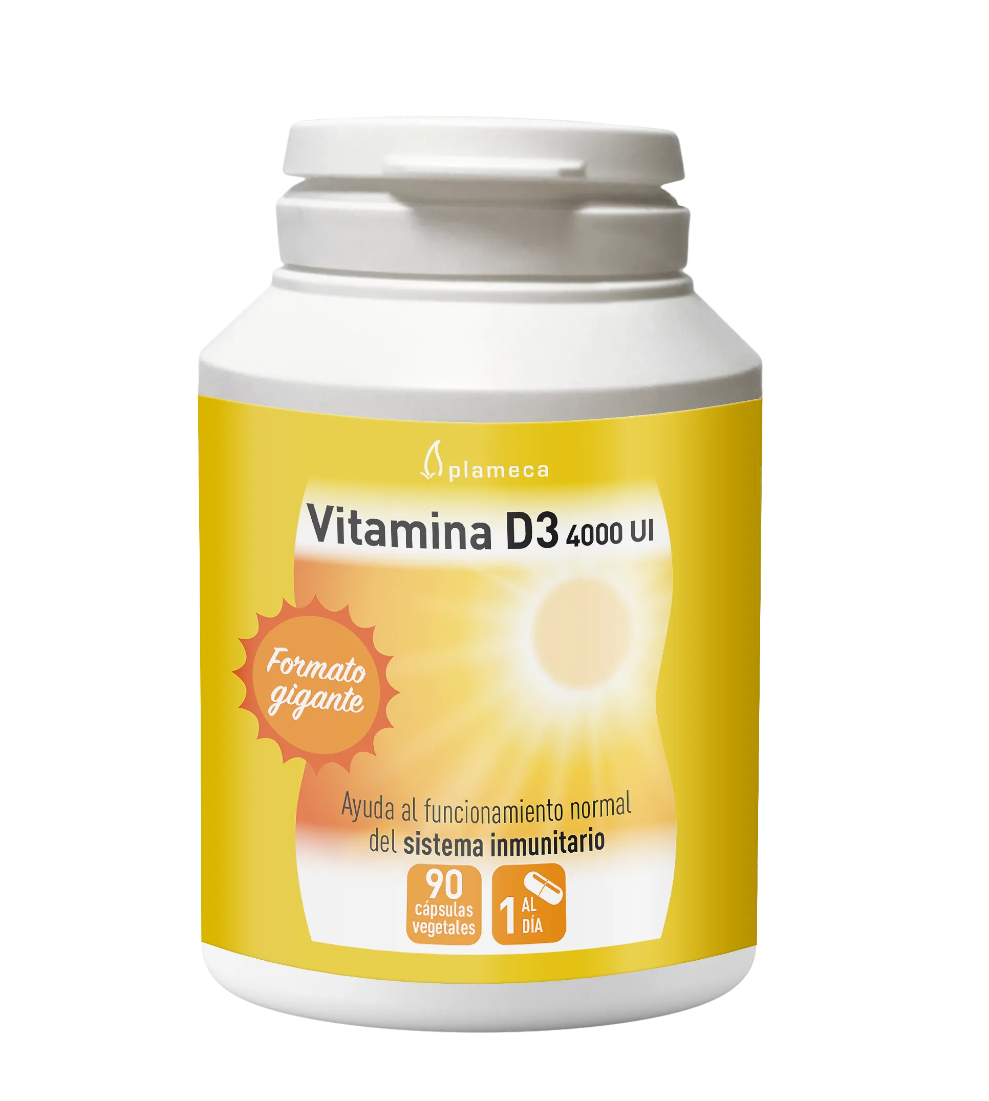 Plameca Vitamina D3 4000ui 90 Vcaps